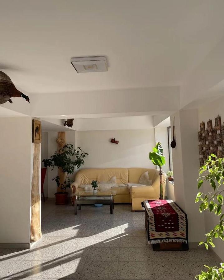 Casa De Vacanta Clara Maria Comarnic Bagian luar foto
